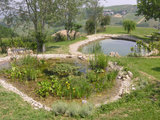 Vuoi Rendere il tuo Giardino Sostenibile? Ecco come Fare (8 photos) - image  on http://www.designedoo.it