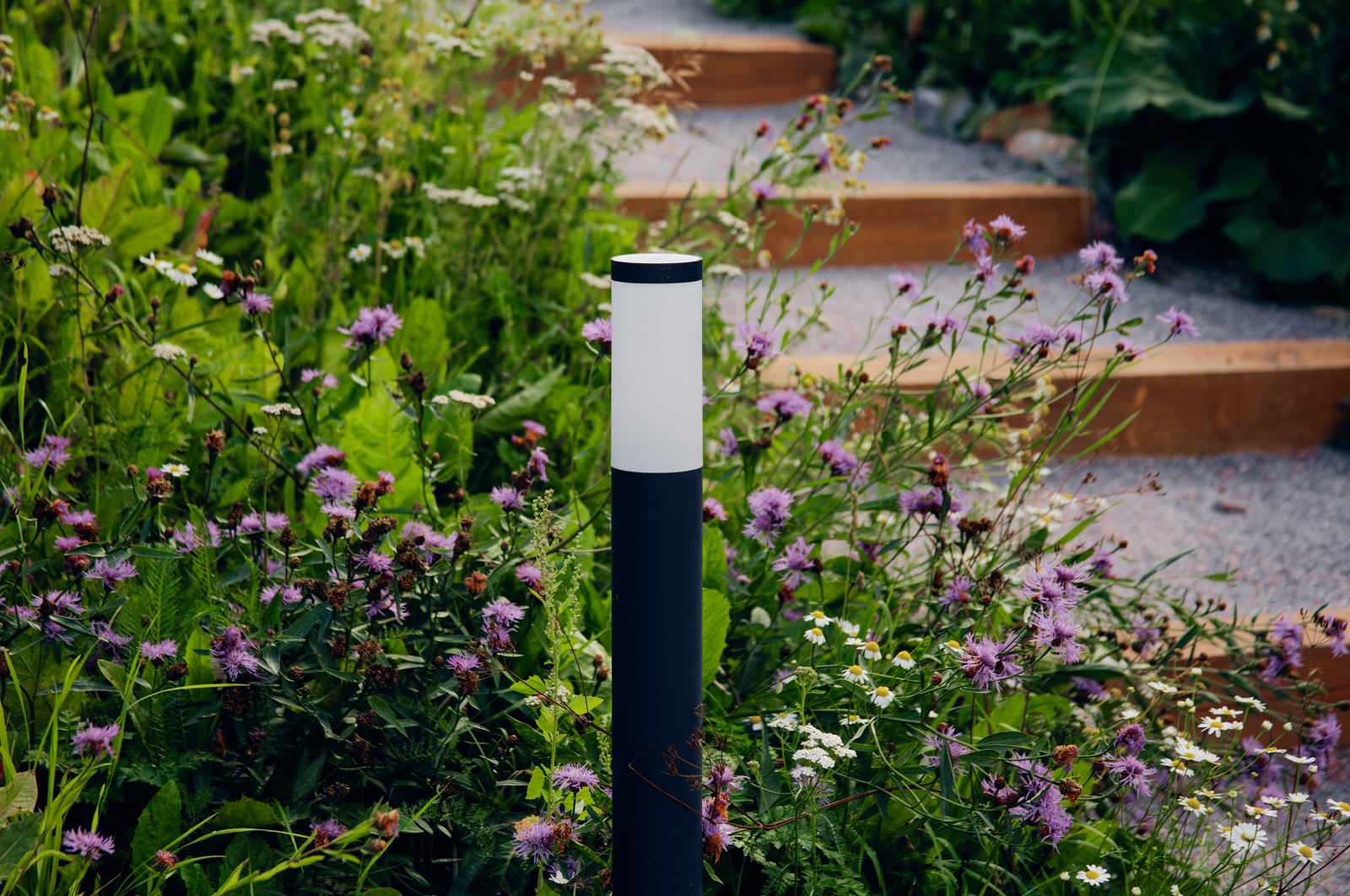 Территория бутик-отеля ASILAN