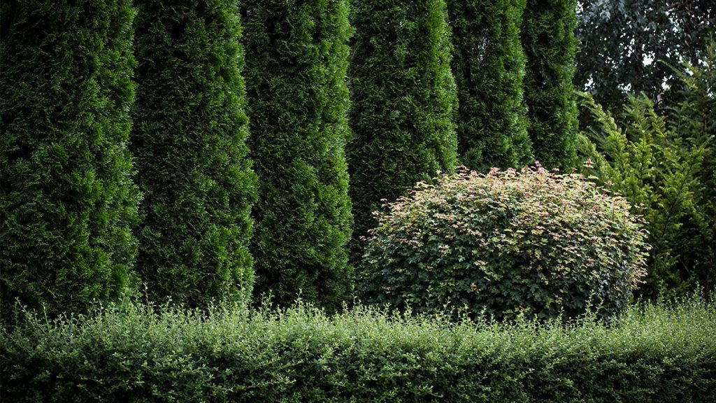 Частное домовладение