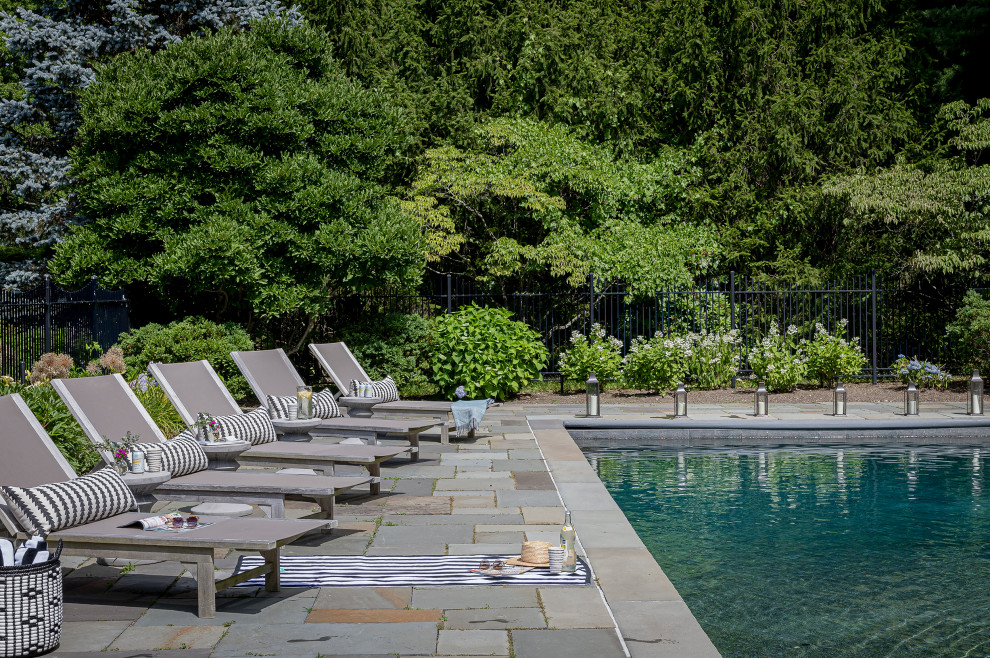 Inspiration for a backyard rectangular natural pool in Boston with with a pool and stamped concrete.