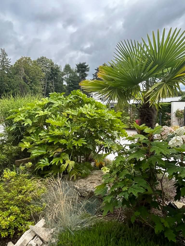 Jardin contemporain dans les Yvelines