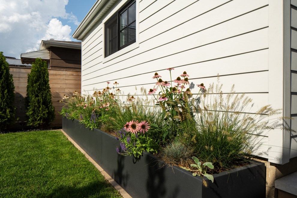 This is an example of a transitional landscaping in Chicago.
