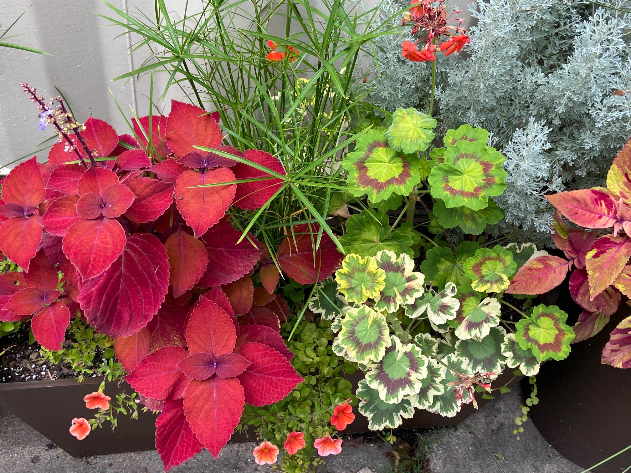 Shade Containers