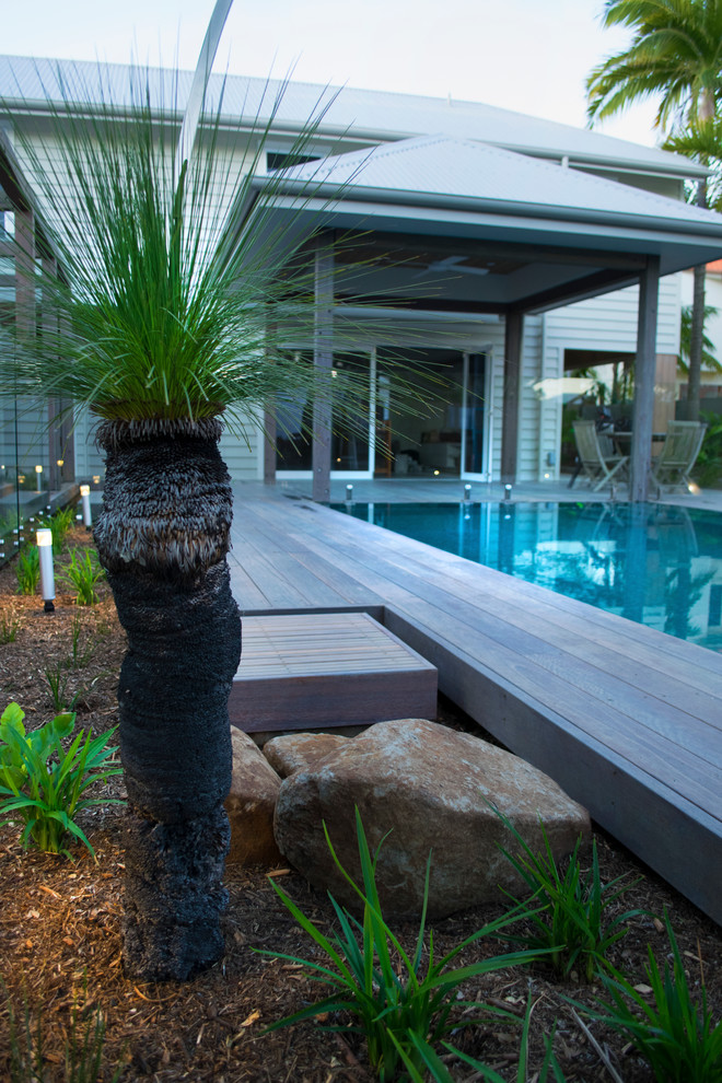 Design ideas for a tropical pool in Sunshine Coast.