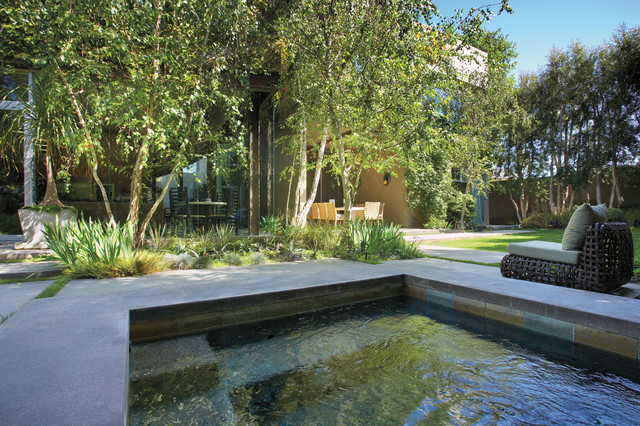 Smithcliffs modern-pools
