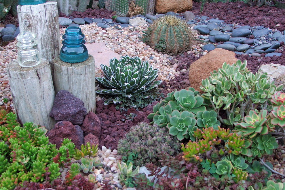 Landcaping with succulents, rocks, gravel and logs