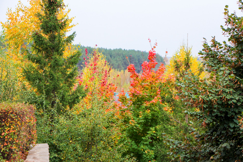 Лобаново, 2012-2021 гг.