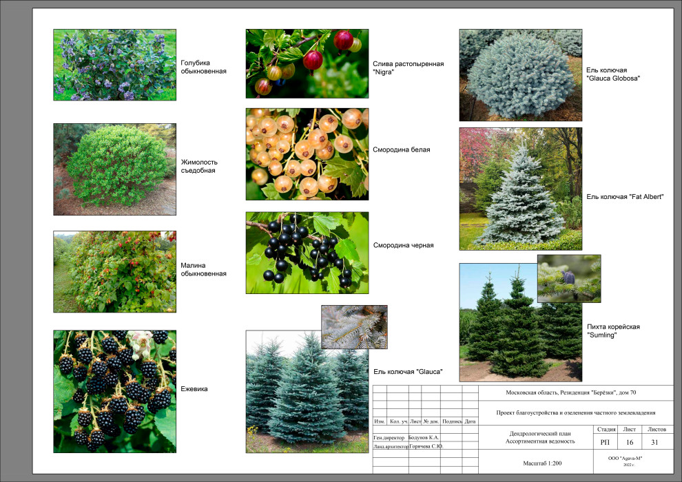 Резиденция Берёзки.