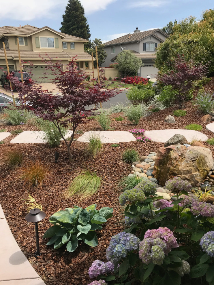 Benicia Low-maintenance front yard