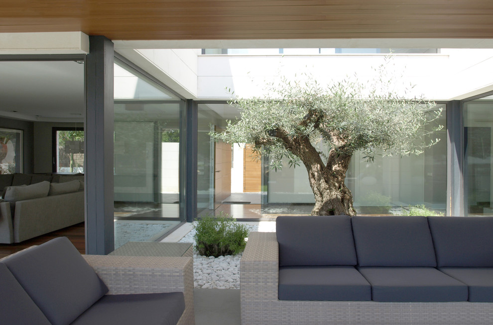 Diseño de patio contemporáneo pequeño sin cubierta en patio con jardín de macetas