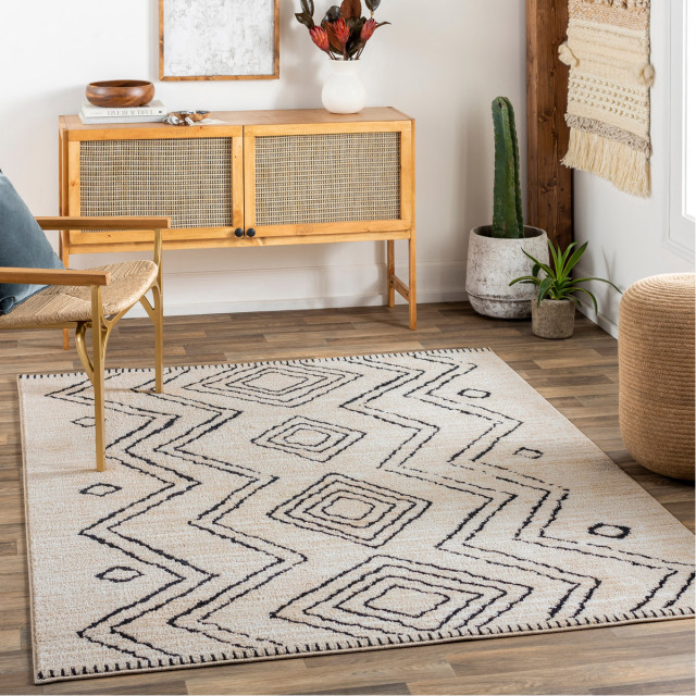 Cozy Area Rug, Light Grey Scandinavian Area Rugs by Lighting New York Houzz