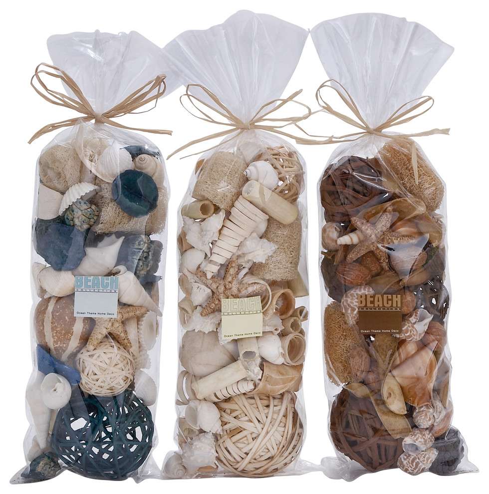 Coastal Living Beach Collection Seashells Dried Mix, 3-Piece Set