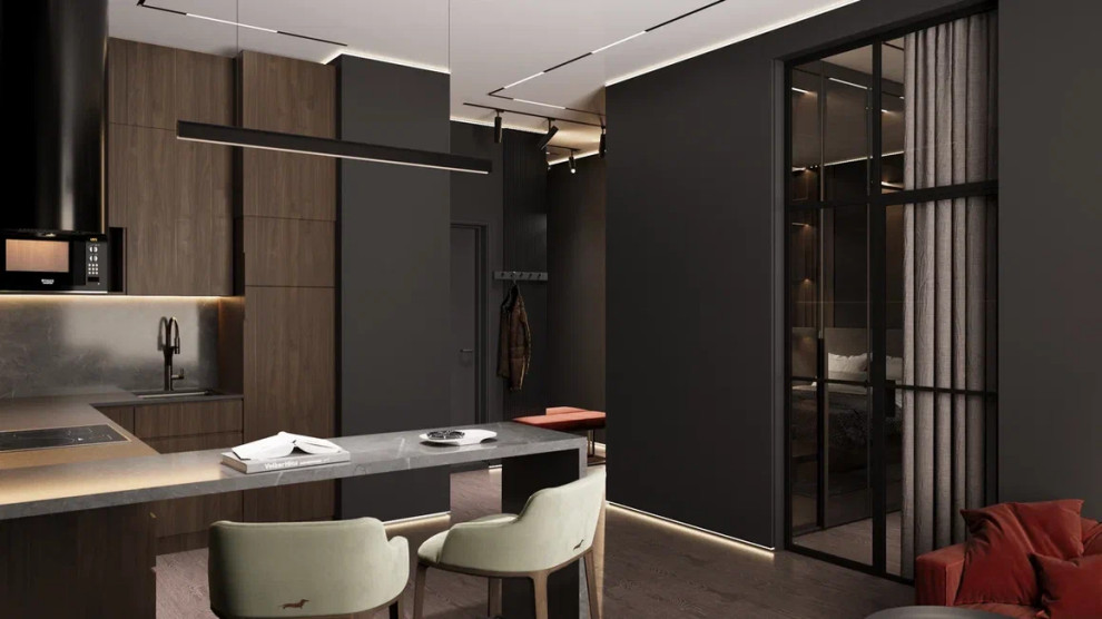 Квартира 54 м² для молодого человека в темных тонах с яркими акцентами