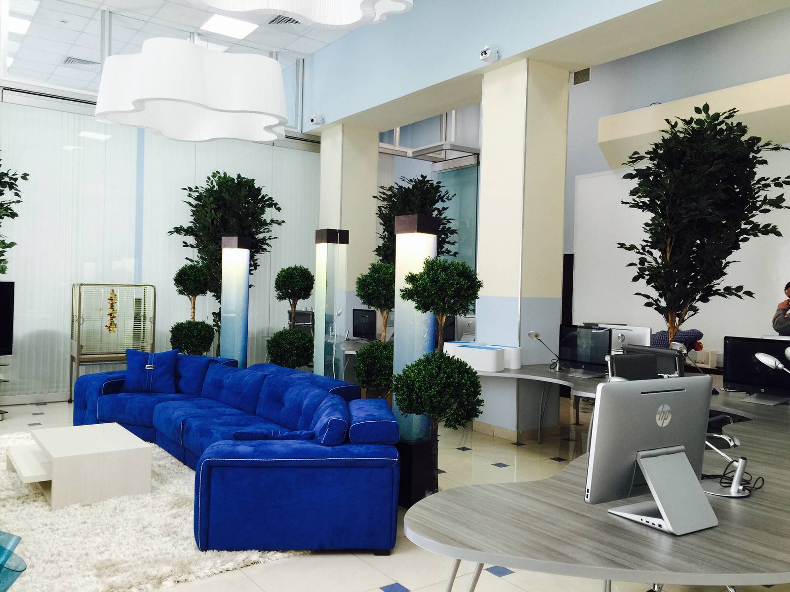 Офис с деревьями