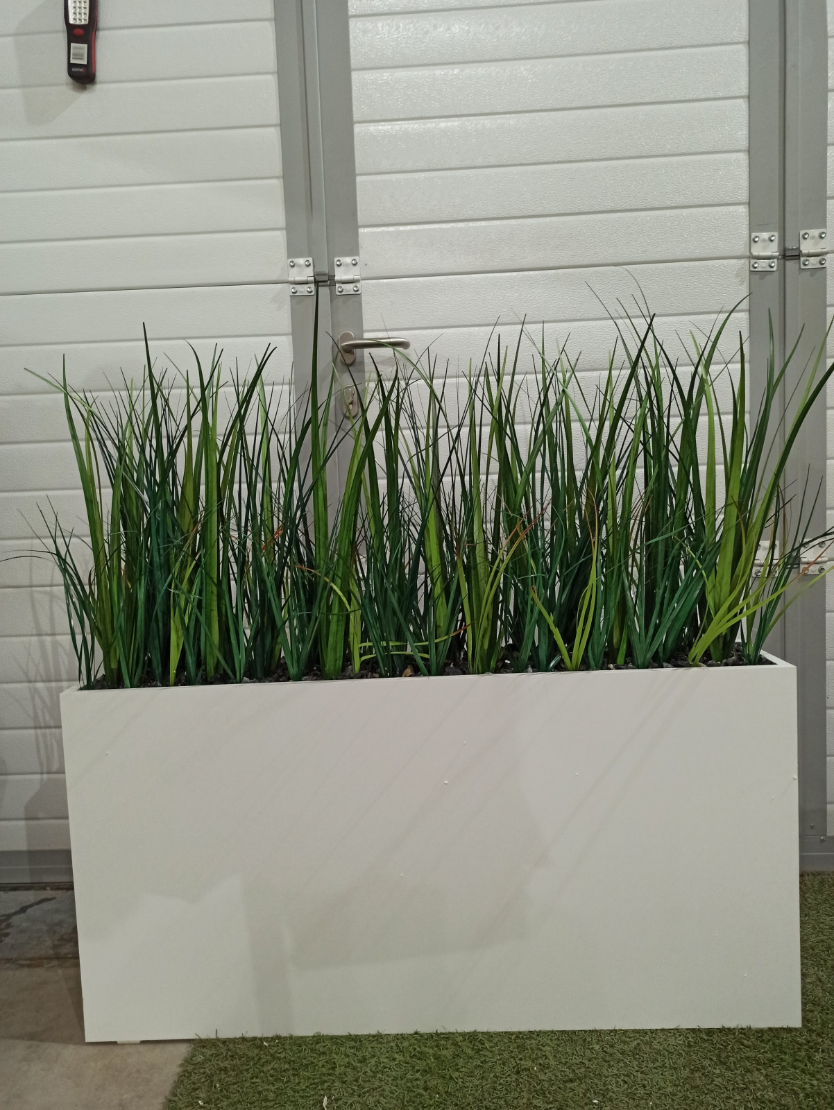 Трава осока (контейнерное озеленение)