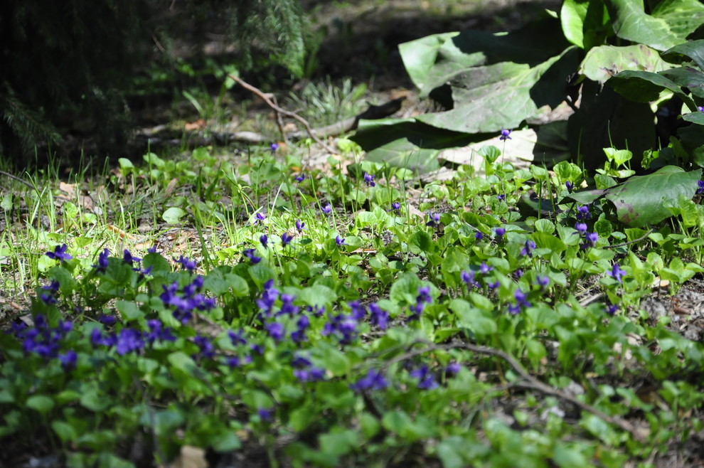 кп. "Архангельское" - Уход за садом - 100% качество!