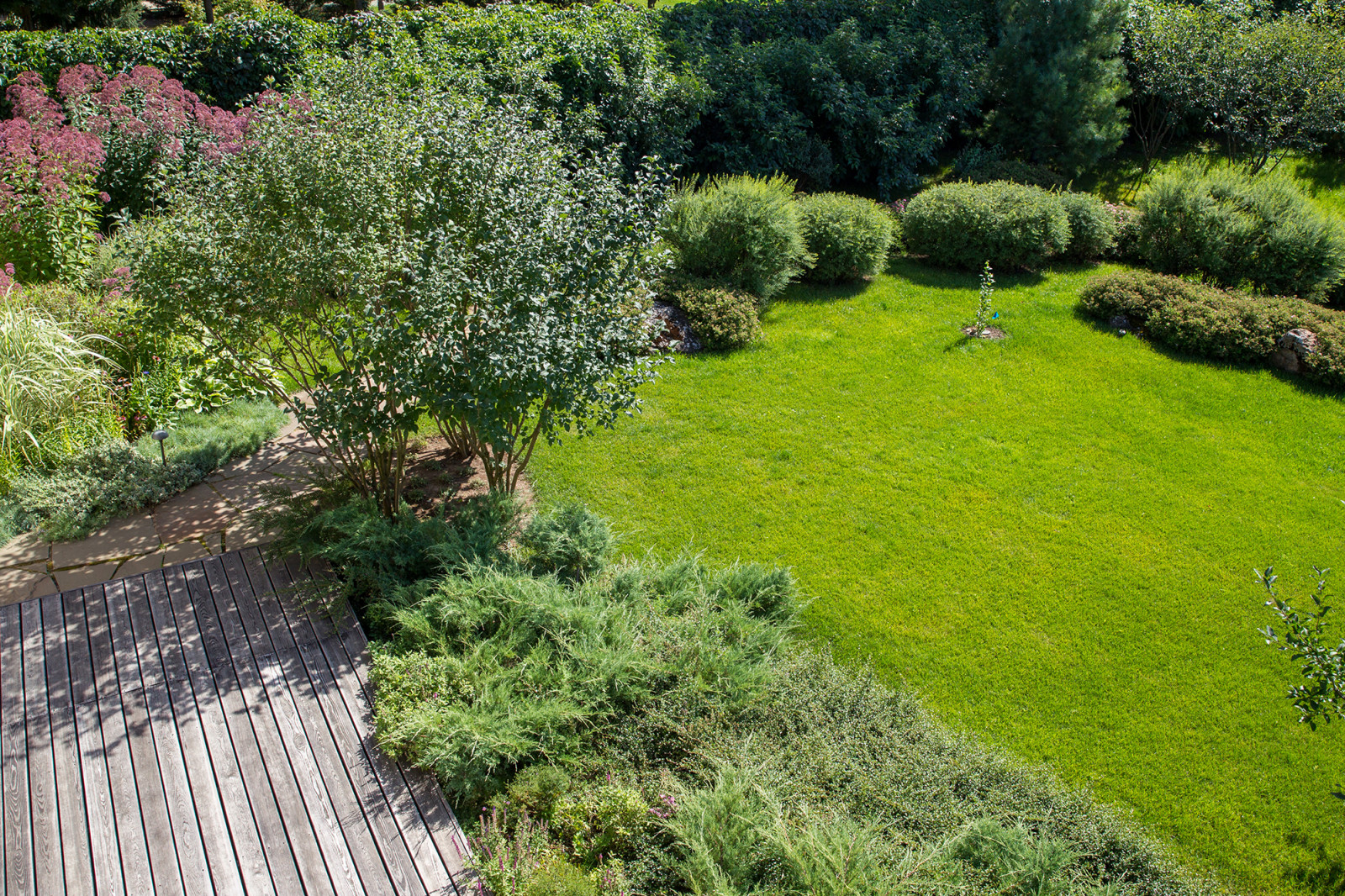 Garden of Elena Astashkina in Moscow Region