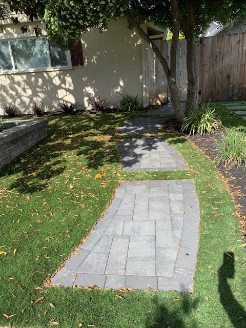 Parker Front Yard