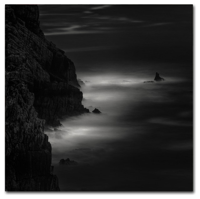 Water Tree by Moises Levy 12x12 B//W Photo Seascape Poster COASTAL ART PRINT