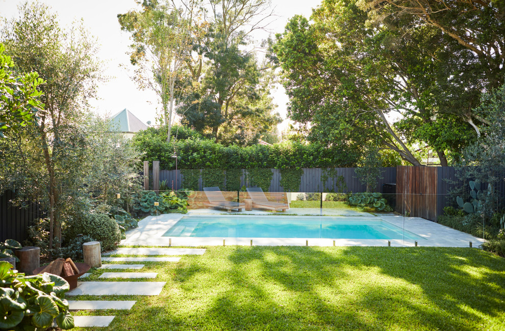 Willoughby Pool and Landscaping - Contemporary - Pool - Sydney - by ...