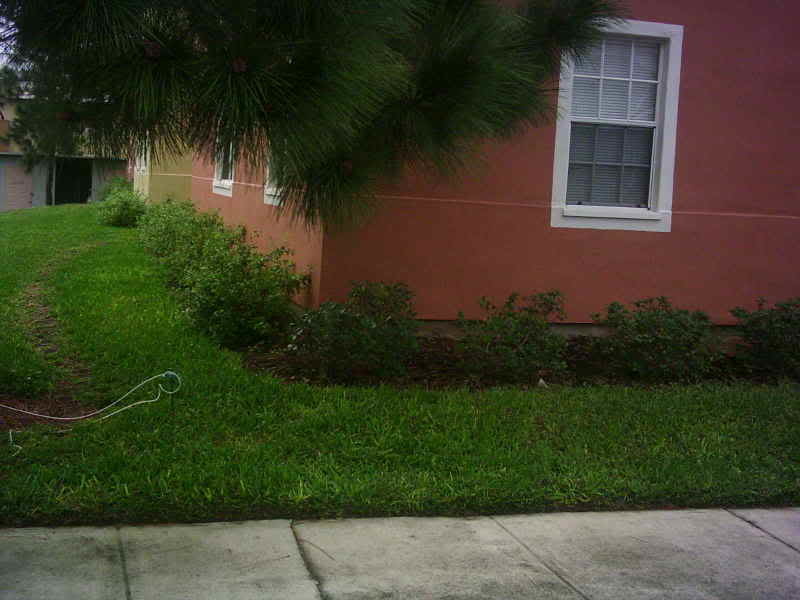 who would tie a dog up at an apartment?