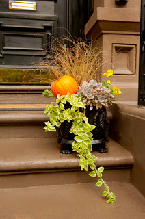 10 Standout Fall Container Gardens With Extra Seasonal Pizazz (12 photos)