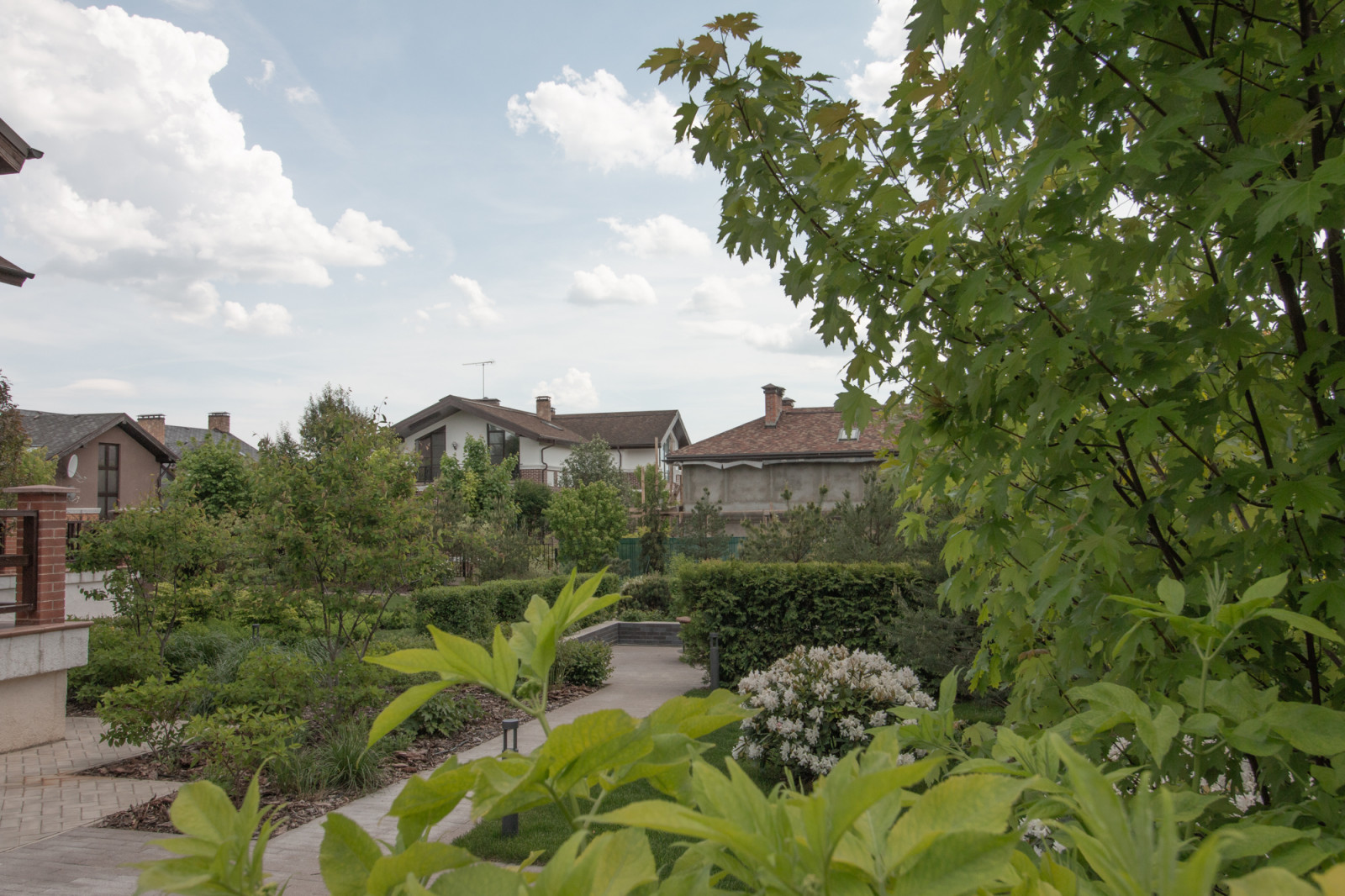 Опушкино_2019