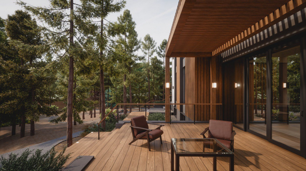 Завораживающий лес