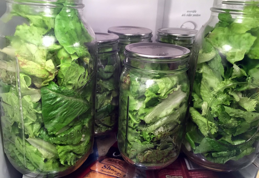 Lettuce Keeper | Vegetable and Fruit Crisper | Lettuce Crisper Salad Keeper  Container Keeps your Salads and Vegetables Crisp and Fresh-7 X 8- by