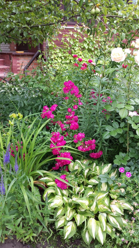 Любимый сад