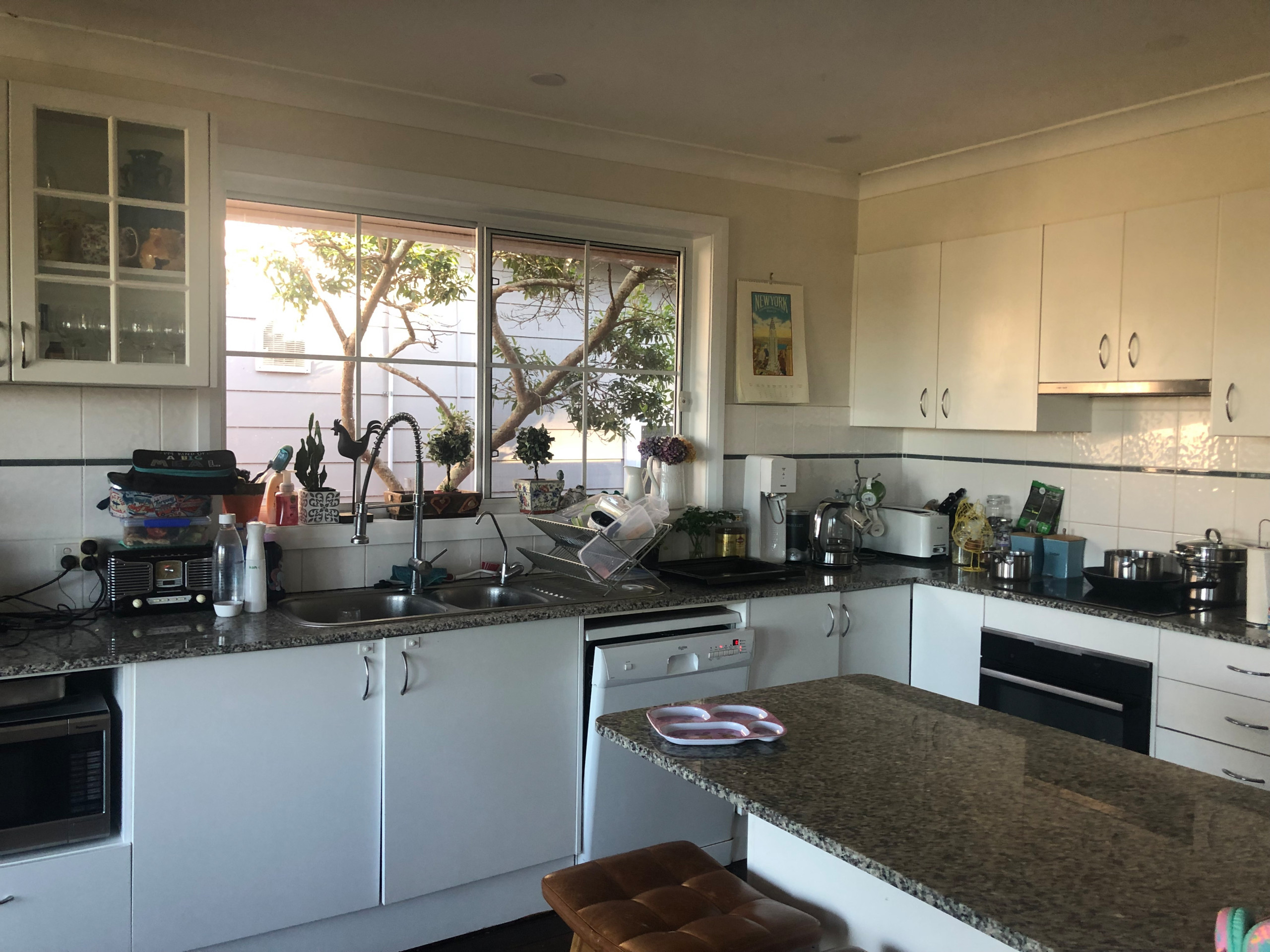 COASTAL GEM SPARKLES AGAIN