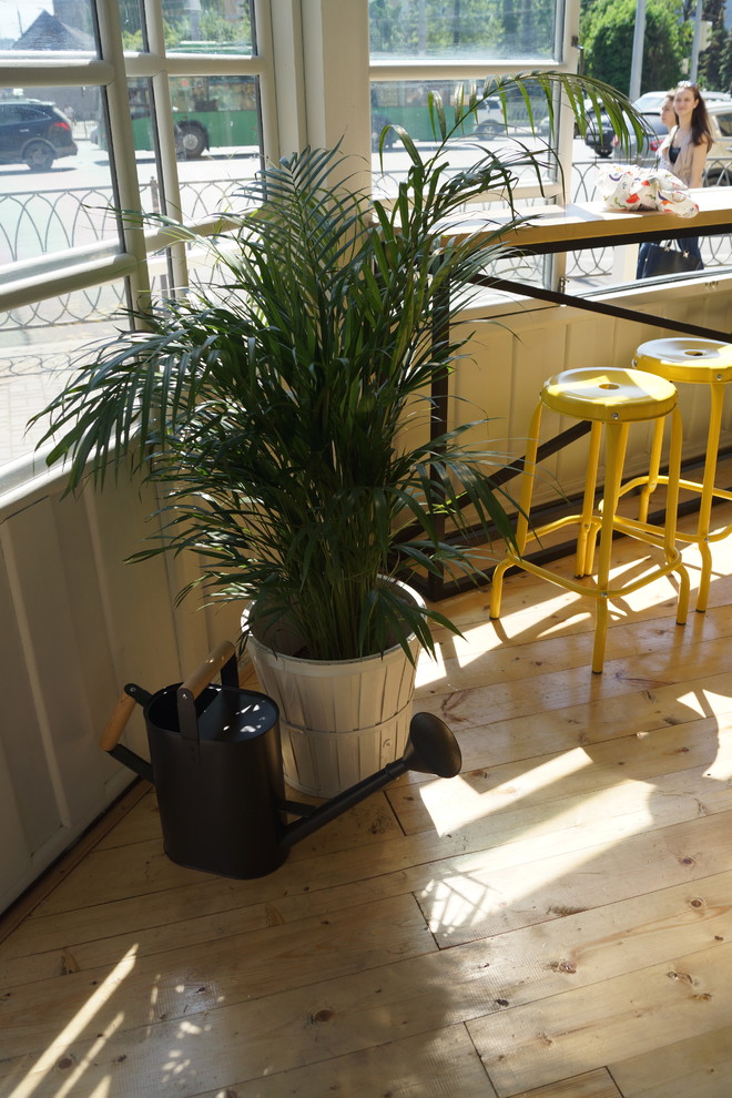 Ремонт помещения под летнее кафе быстрого питания "BANKA"