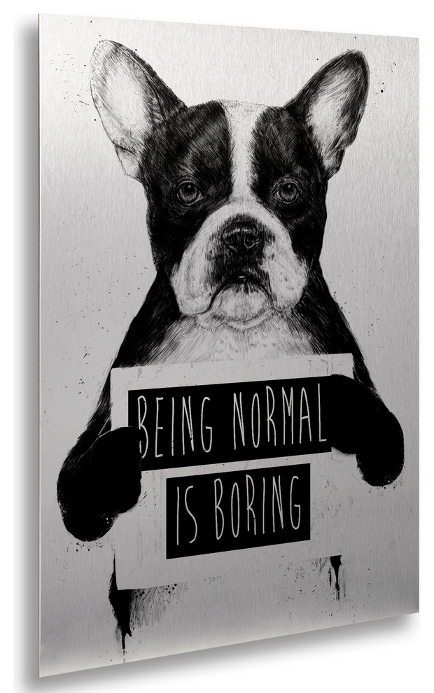 Balazs Solti 'Being Normal Is Boring' Floating Brushed Aluminum Art