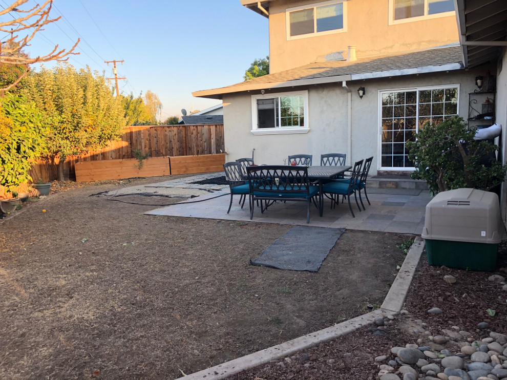 Back Yard Before