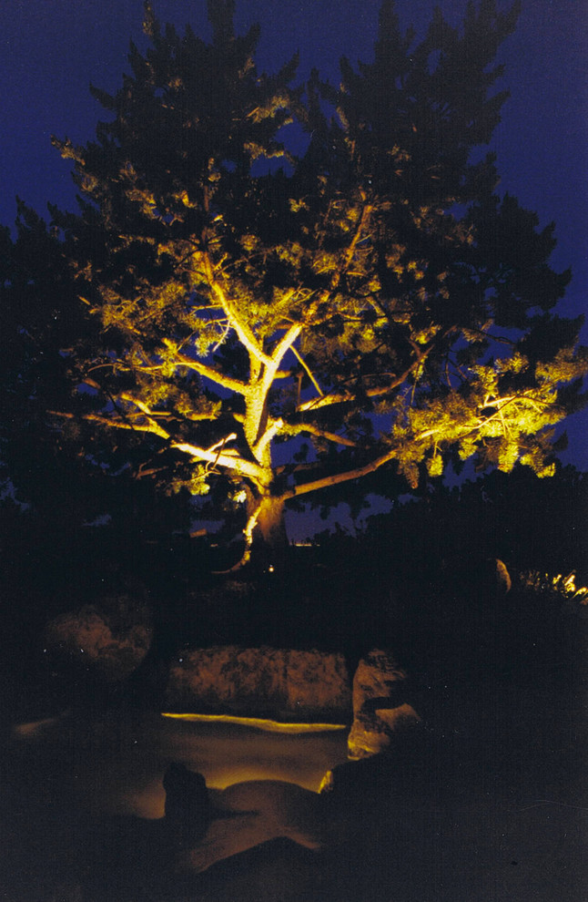 Highlight the structure of the tree with uprights