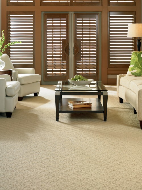Design ideas for a large transitional formal enclosed living room in New York with carpet, no fireplace and no tv.