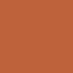 Paint Color SW 6636 Husky Orange from Sherwin-Williams