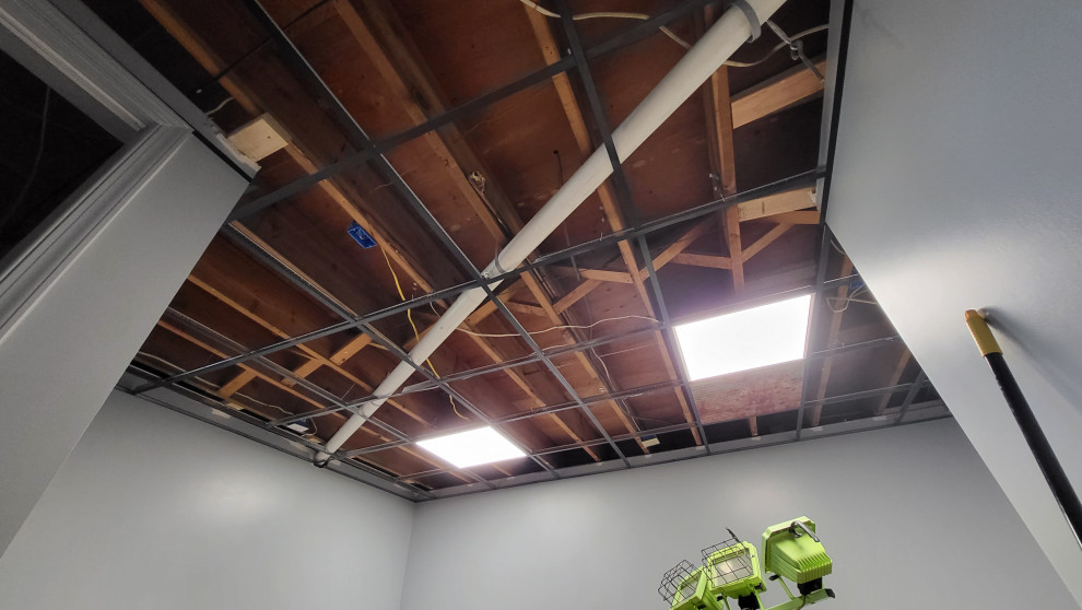 basement office