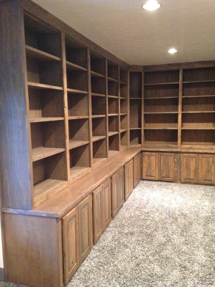 Basement Library and office