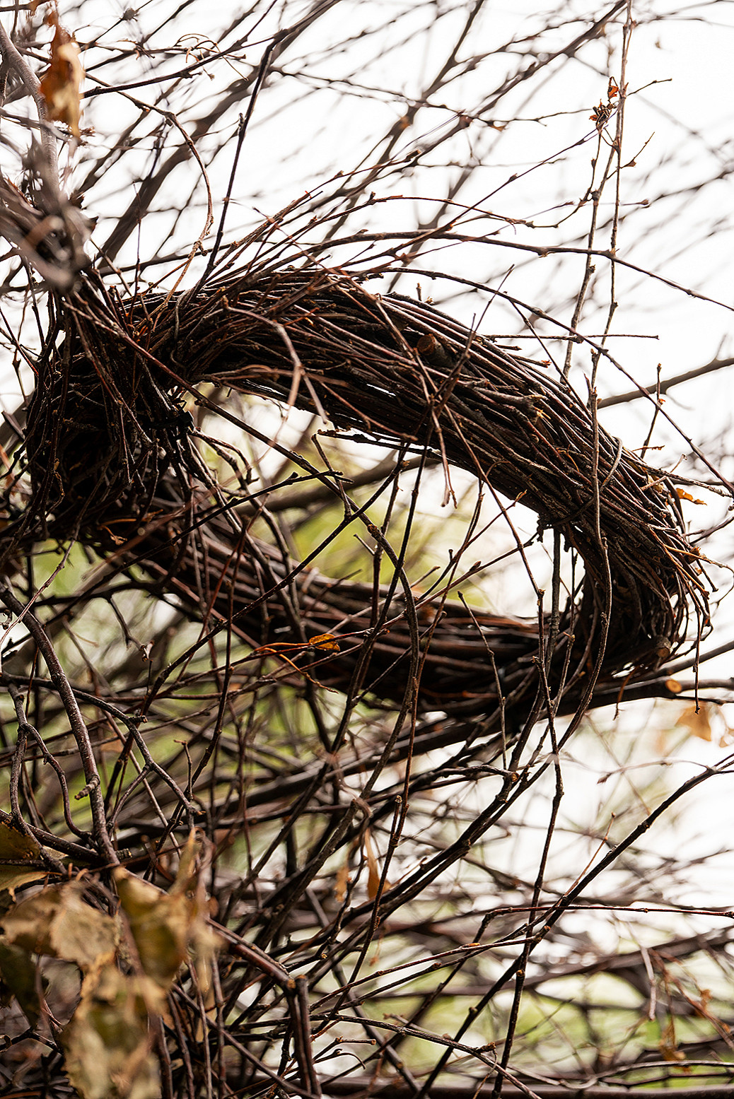 Фотосъемка Сада по сказке СиняяПтица на MFS 2019 Авторы М,Береснева М. ПРИНТЦ