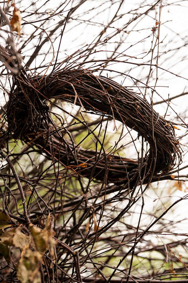 Фотосъемка Сада по сказке СиняяПтица на MFS 2019 Авторы М,Береснева М. ПРИНТЦ