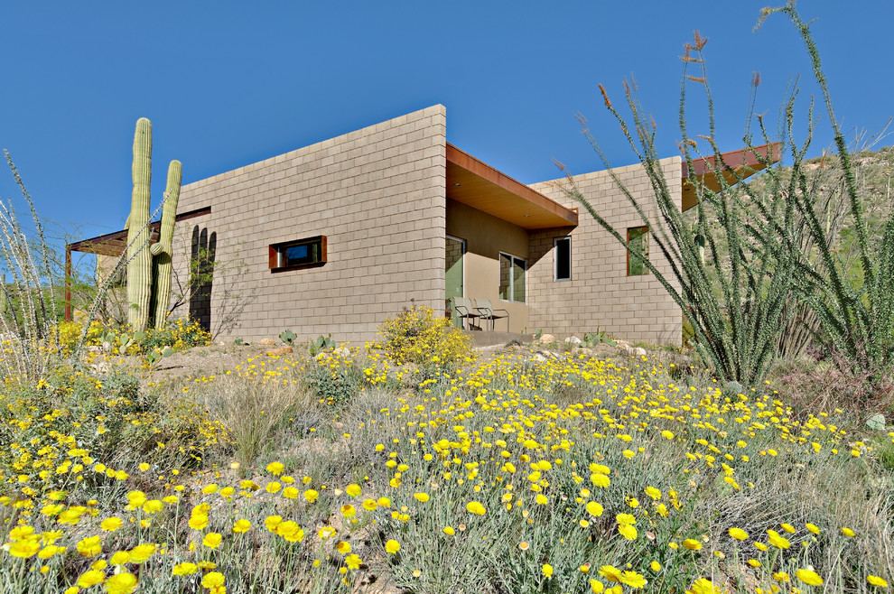 Contemporary exterior in Phoenix with mixed siding.