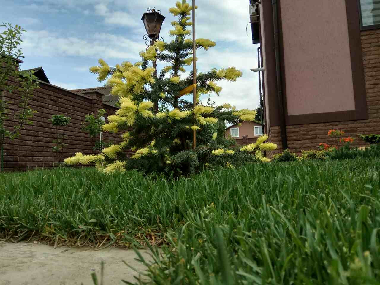 Ландшафтный дизайн