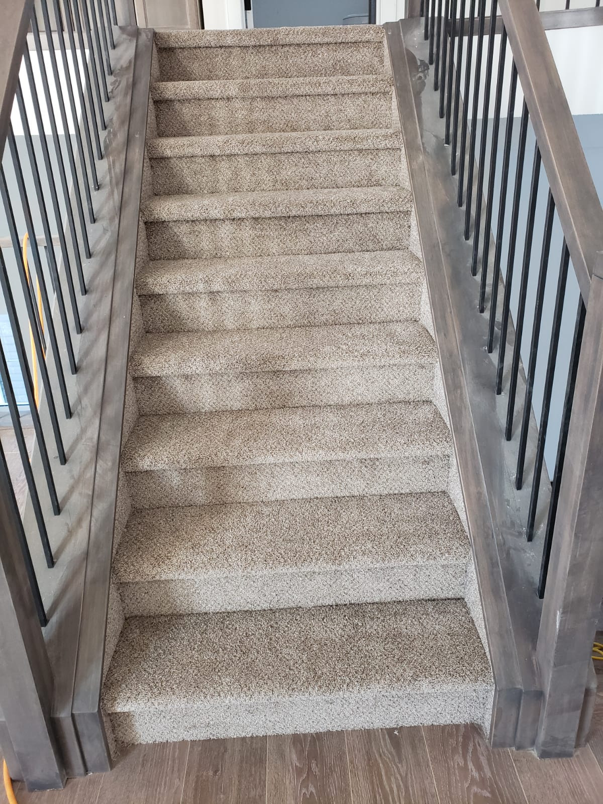 Carpet