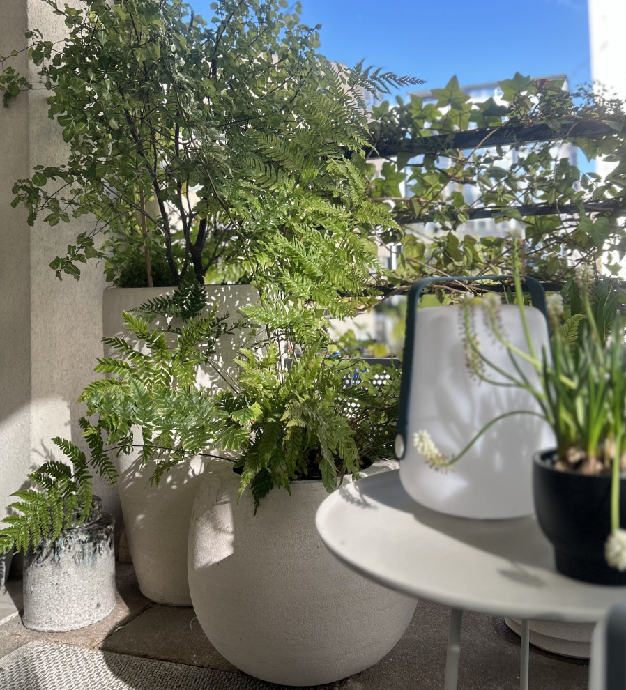 Idee per un piccolo patio o portico minimal con un giardino in vaso