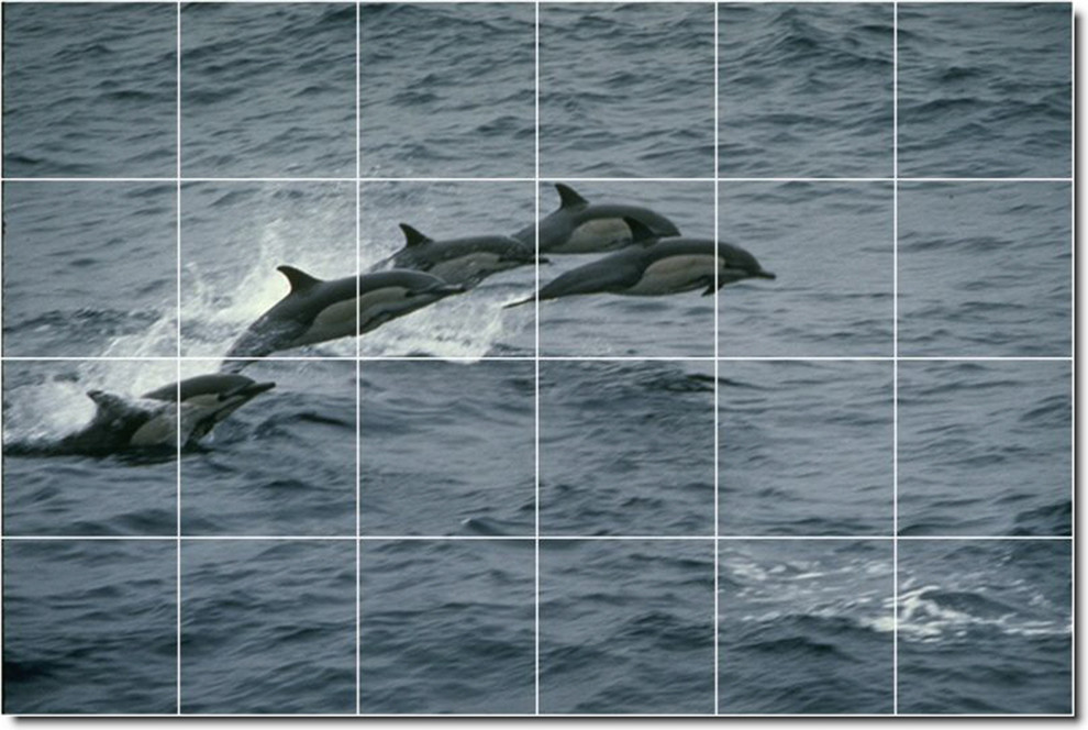 Dolphins Whales Photo Ceramic Tile Mural 23