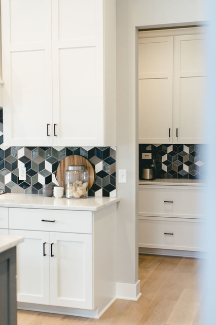 Custom Design + Build Kitchen | Rogers, MN midcentury