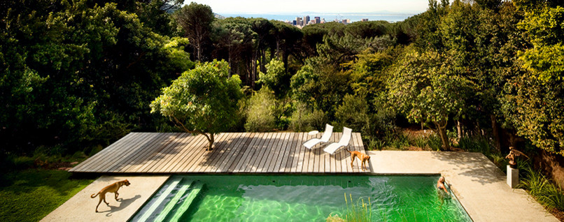 Террасная доска