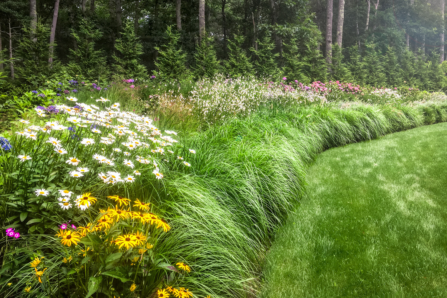 Tiered Garden with Fountain Grass and Mixed Perennials and Arborvitaes
