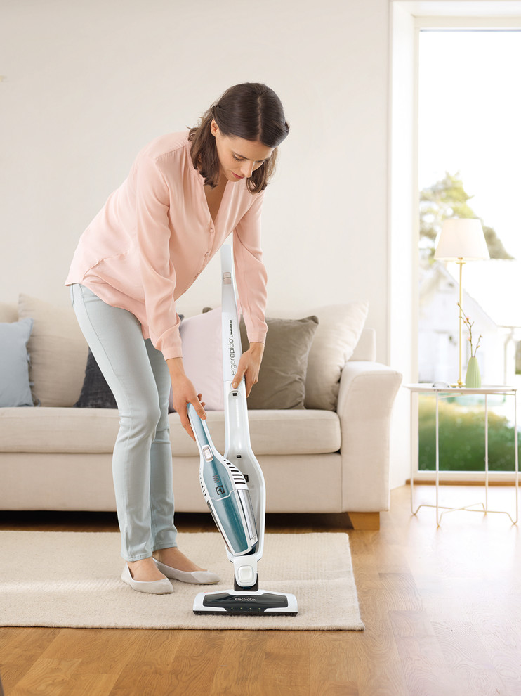 Electrolux Ergorapido Spring Edition